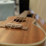 Care to Borrow a Uke?
